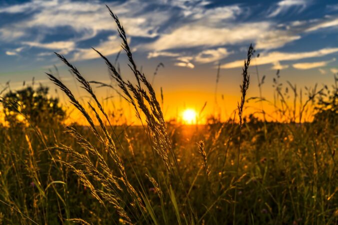 warm fuzzy summer playlist
