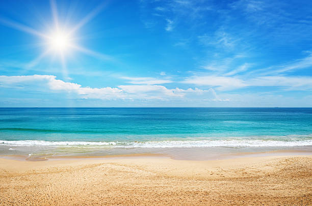 seemingly endless summer playlist header image